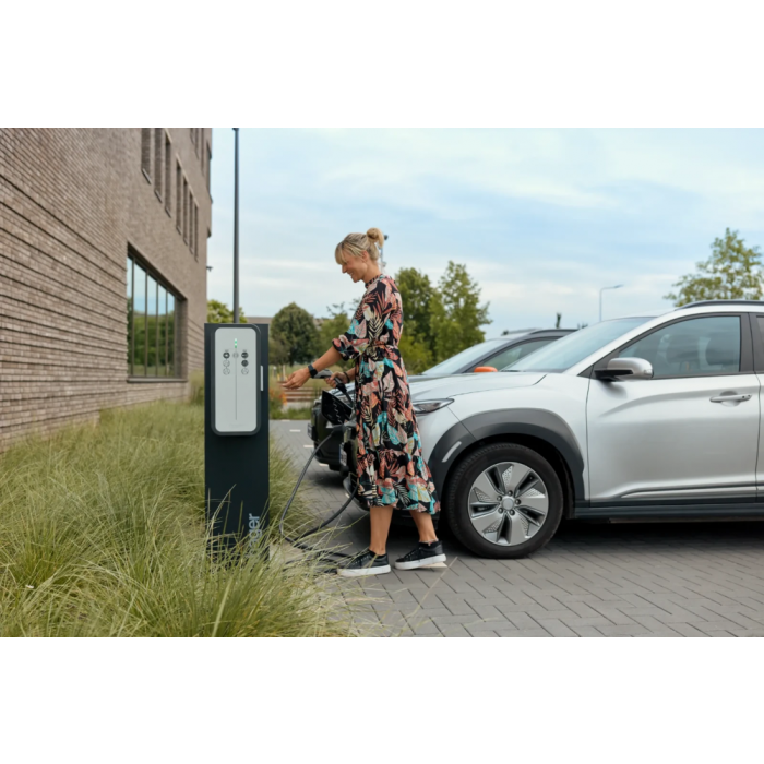 Hager Witty Start/Share 2-voudig bevestigingszuil (XEVA115)